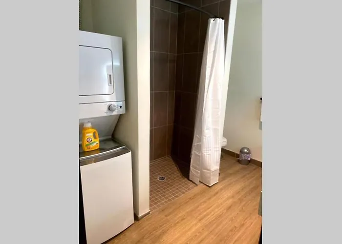 Apartment 3e-spacious Close To Pitt/cmu/carlow, Sleeps 4 *